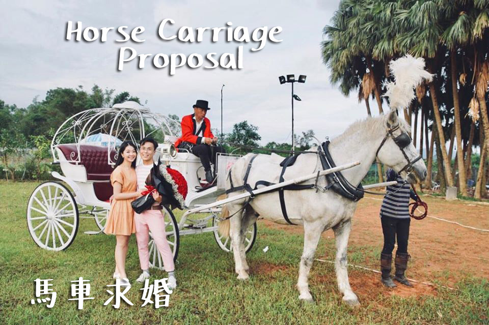 香港史上最浪漫馬車求婚
